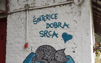 Projekt Dijete prijatelj životinja