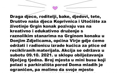 Društvo naša djeca i Grgin konak
